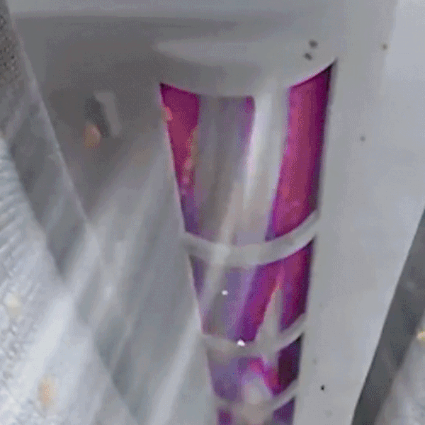 Aspiratorul InsectiPraf
