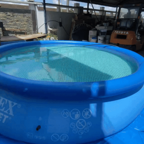 Piscină Mare Intex